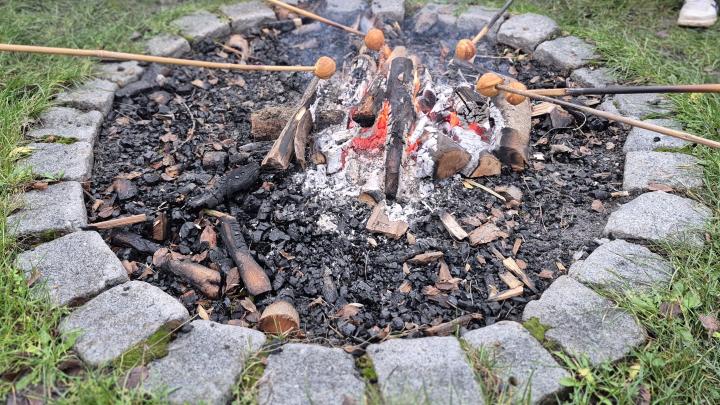Æbleskiver på pind